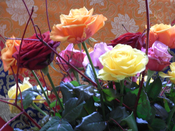 RIMG0867_kl