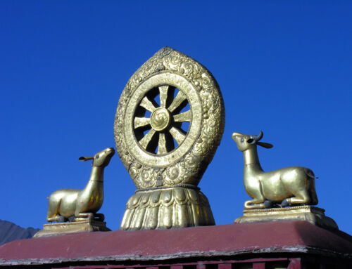 Neuer Online-Kurs 2026 mit der buddhistischen Nonne Jigme Mönlam